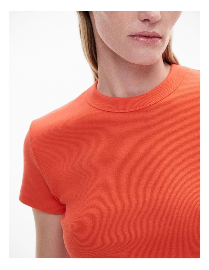 Rib Baby Tee in Tangerine image 3