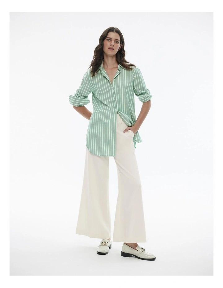 Cotton Stripe Oxford Shirt in Sea Green image 3