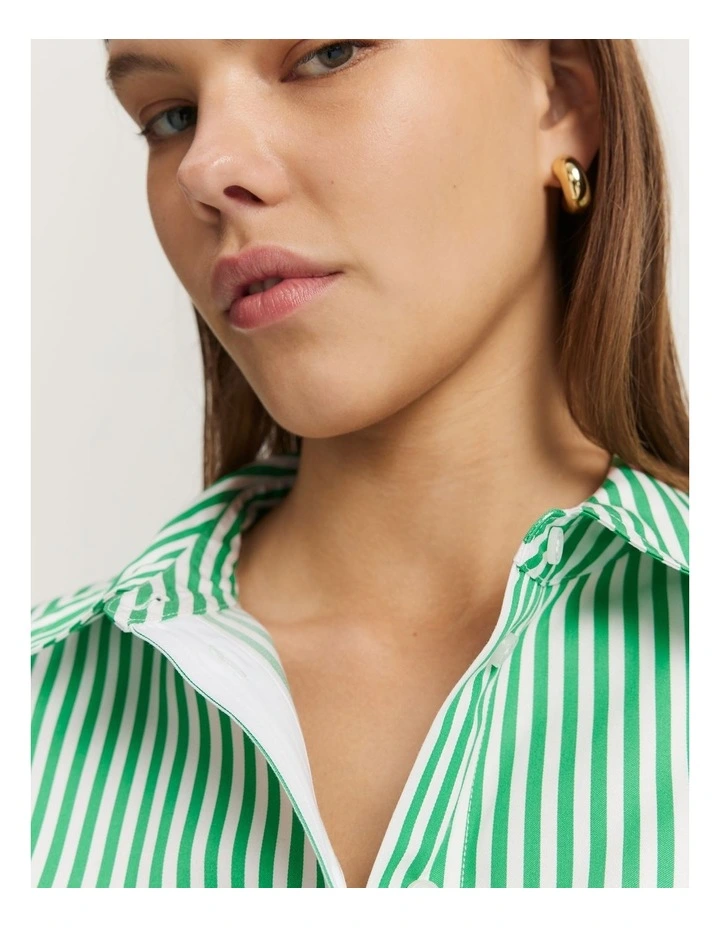 Australian Cotton Stripe Relaxed Oxford Shirt in Green Stripe image 3