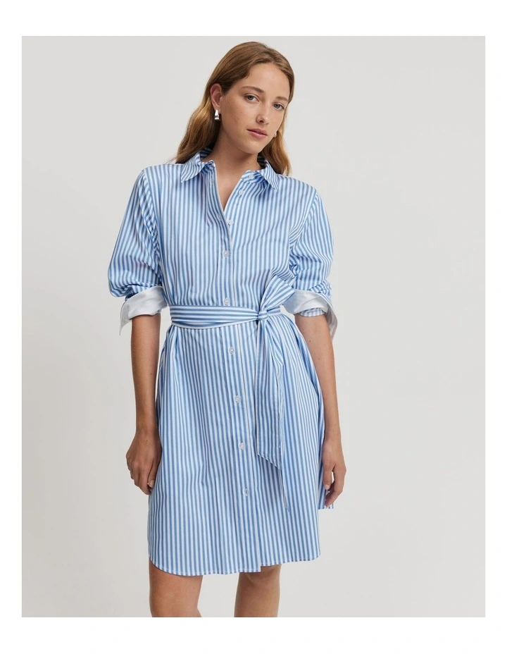Cotton Button-Through Shirt Dress in Blue Stripe image 3
