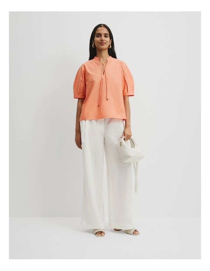 Seam Detail Popover in Melon image 3