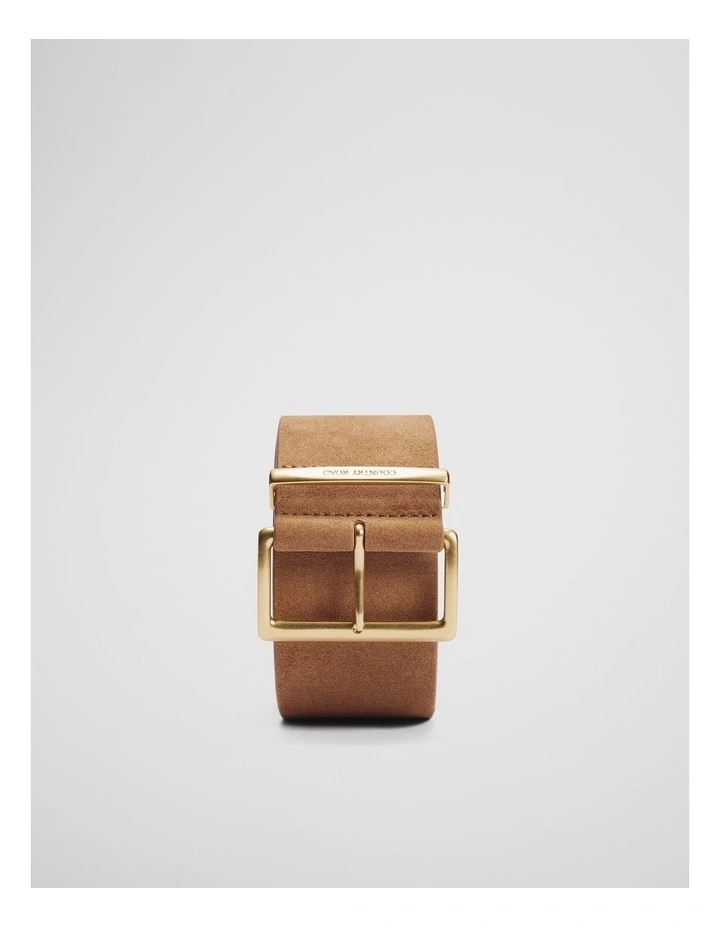 Wide Suede Belt in Camel image 1