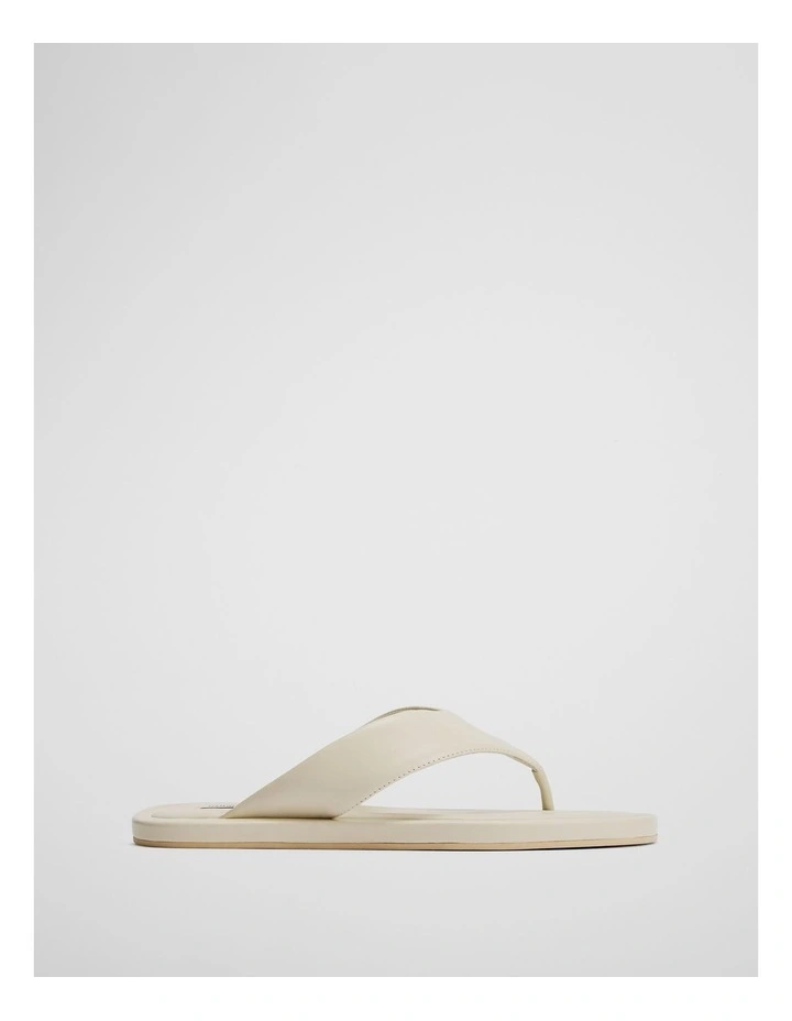 Viola Thong in Shell image 1