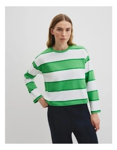 Stripe Crew Long Sleeve T-shirt in Multi