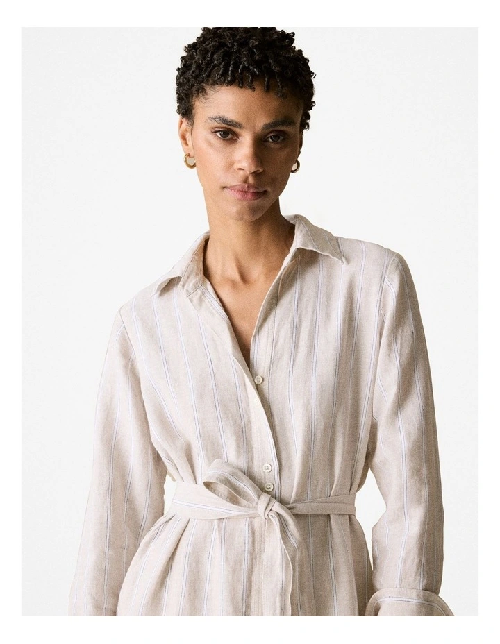 Yarn Dyed Linen Stripe Shirt Dress in Flax image 4