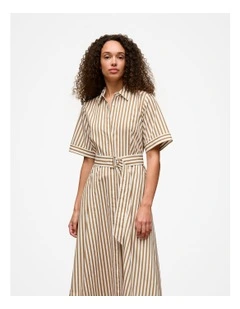Poplin Stripe Belted Dress in Golden Brown