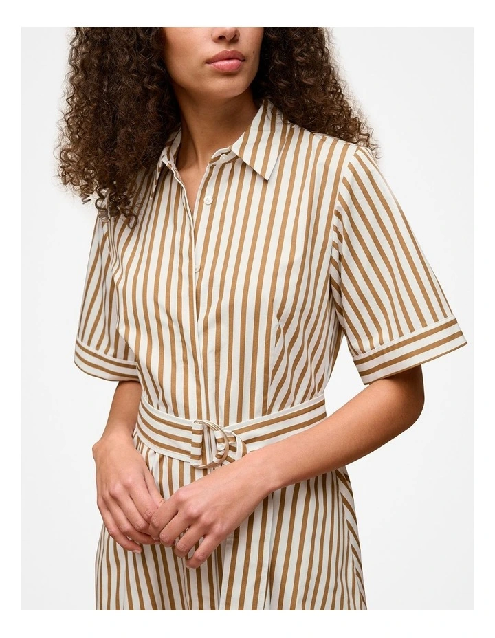 Poplin Stripe Belted Dress in Golden Brown image 3
