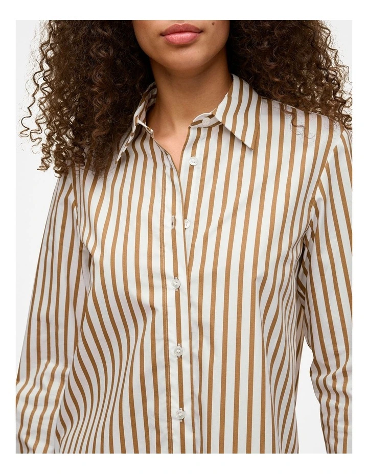 Cotton Poplin Stripe Long Sleeve Shirt in Golden Brown image 3