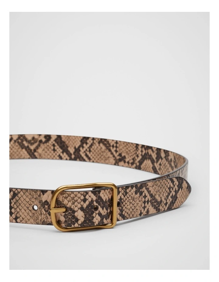 Lennox Belt in Multi image 3