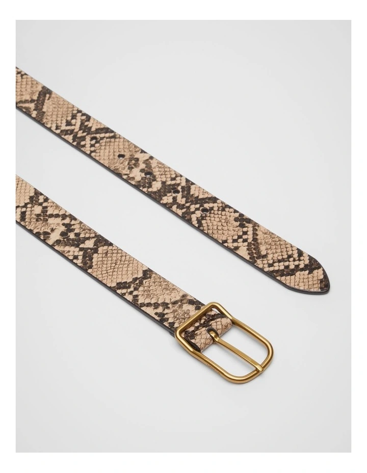 Lennox Belt in Multi image 4