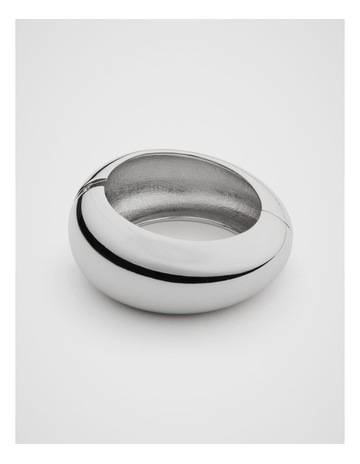 Silver colour
