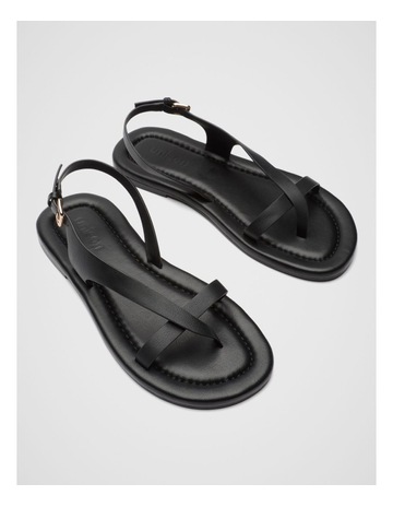 Black colour