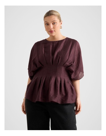 Elderberry colour