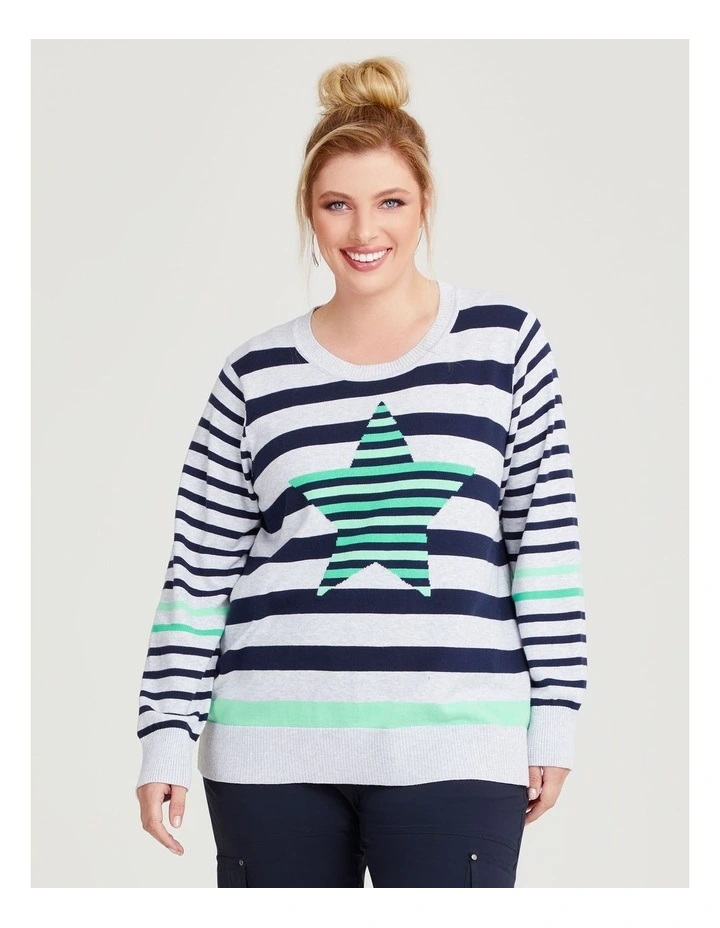 Stripe Star Knit Jumper in Navy image 1