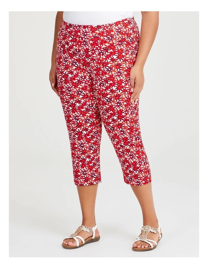 Natural Star Flower Pant in Print image 1