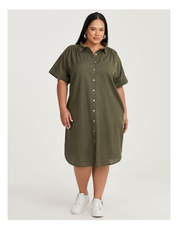 Olive colour