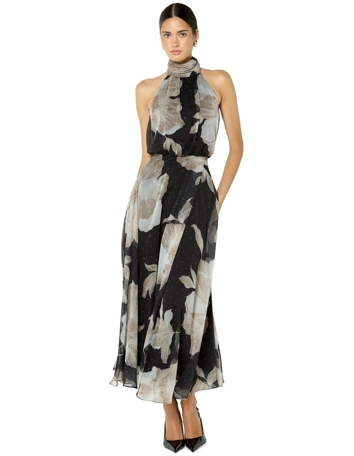 Florian Printed Maxi Dress in Brown image 1