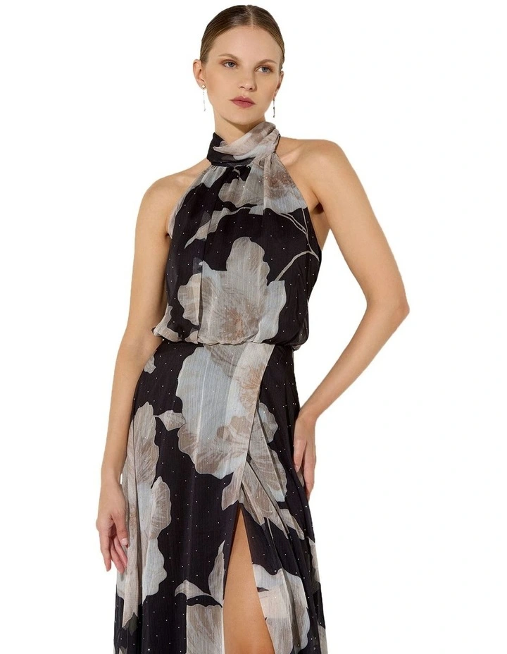 Florian Printed Maxi Dress in Brown image 4