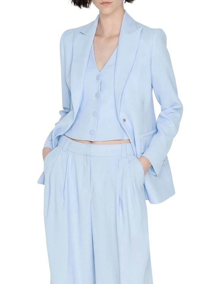Sky Blue Blazer image 3