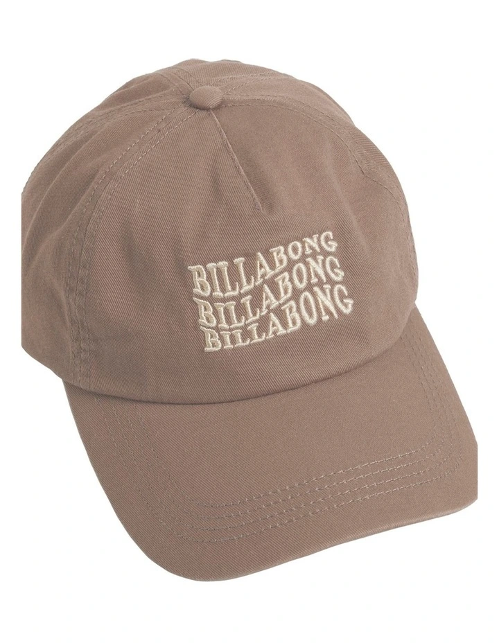 Sun Faded Cap in Brown image 3