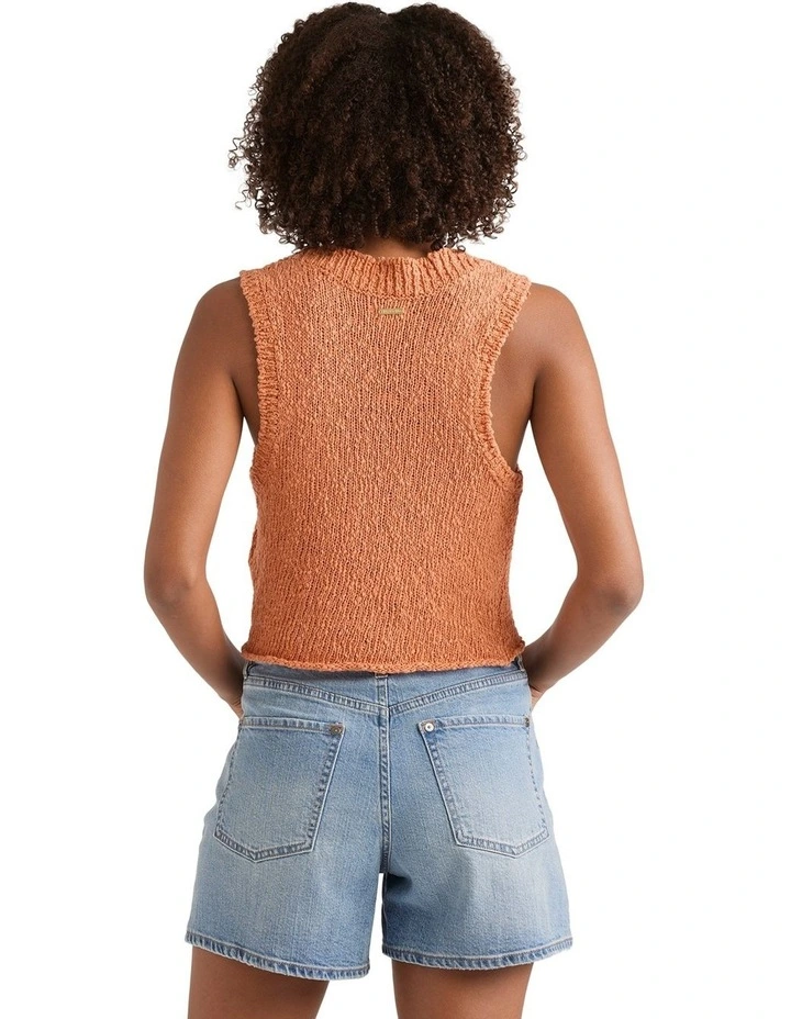Gia Sweater Vest in Brown image 2