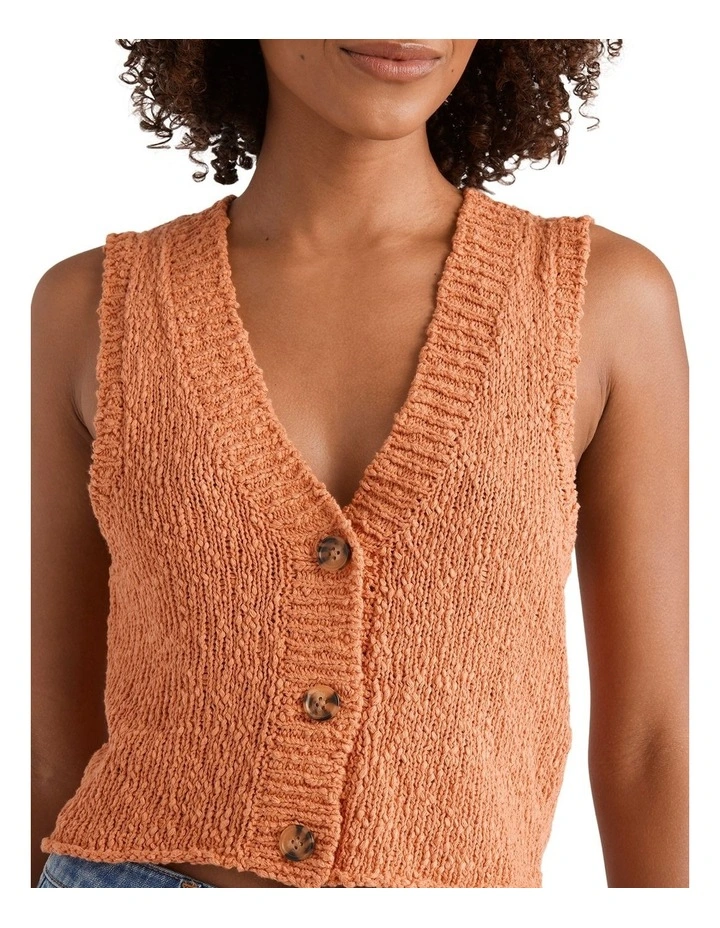Gia Sweater Vest in Brown image 4