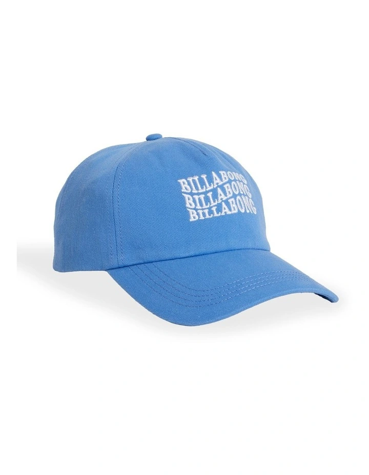 Surf High Dad Cap Brown image 2