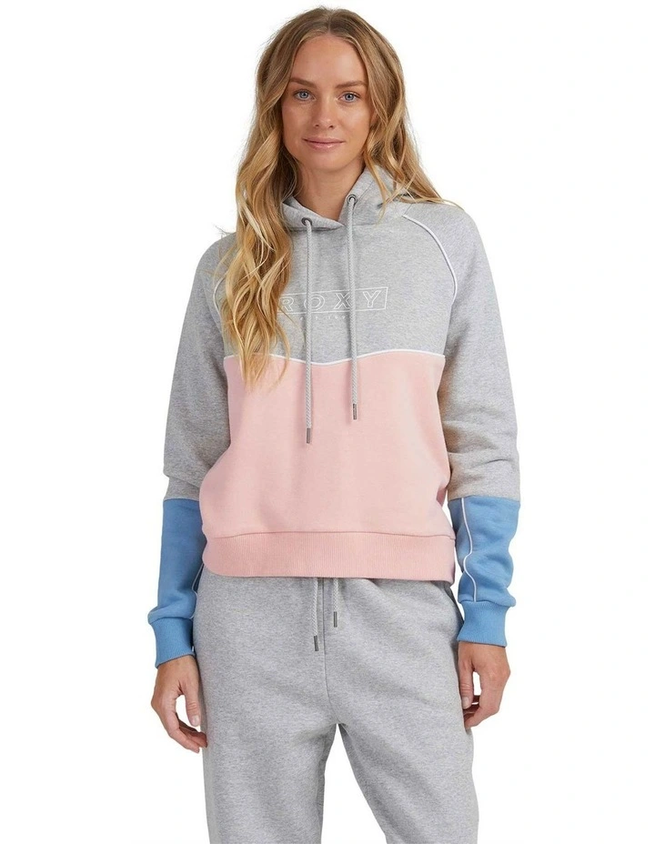 Borderline Hoodie In Grey image 1
