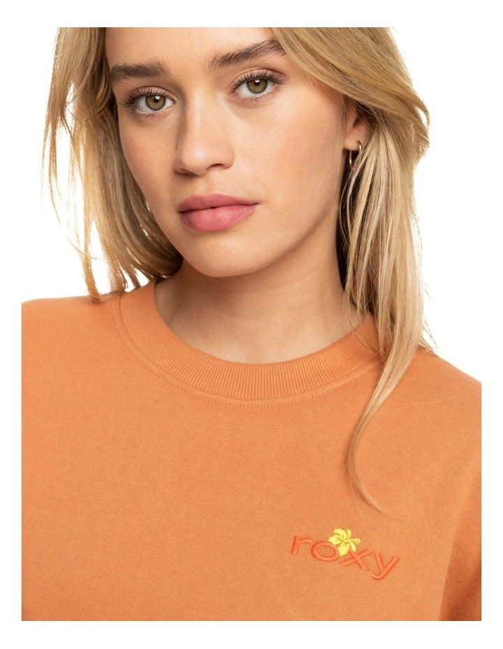 Surf Kind Kate Sweatshirt in Brown image 4