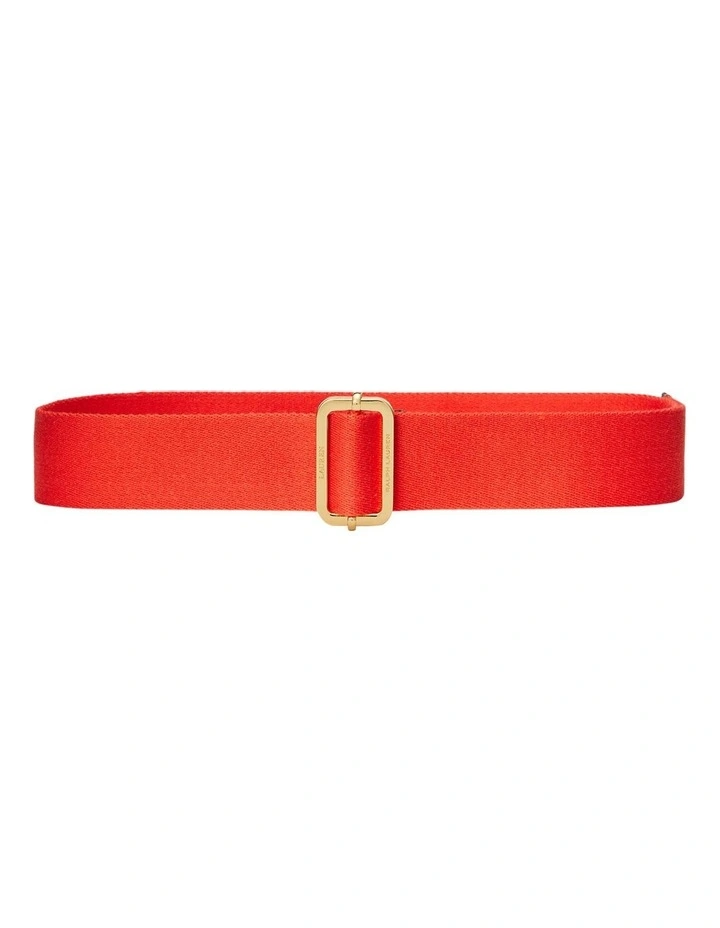 Webbed Wide Belt in Orange image 1