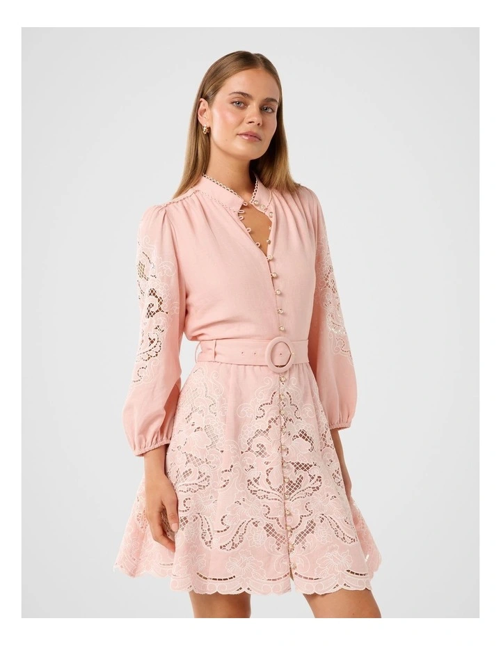 Rhi Embroidered Mini Dress in Pink image 3