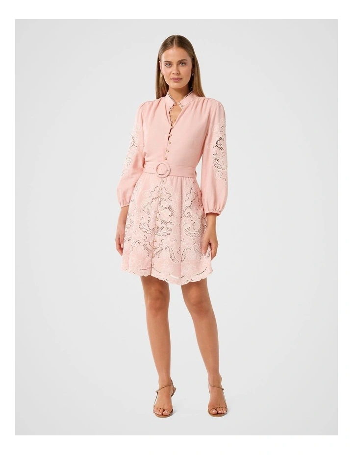 Rhi Embroidered Mini Dress in Pink image 5