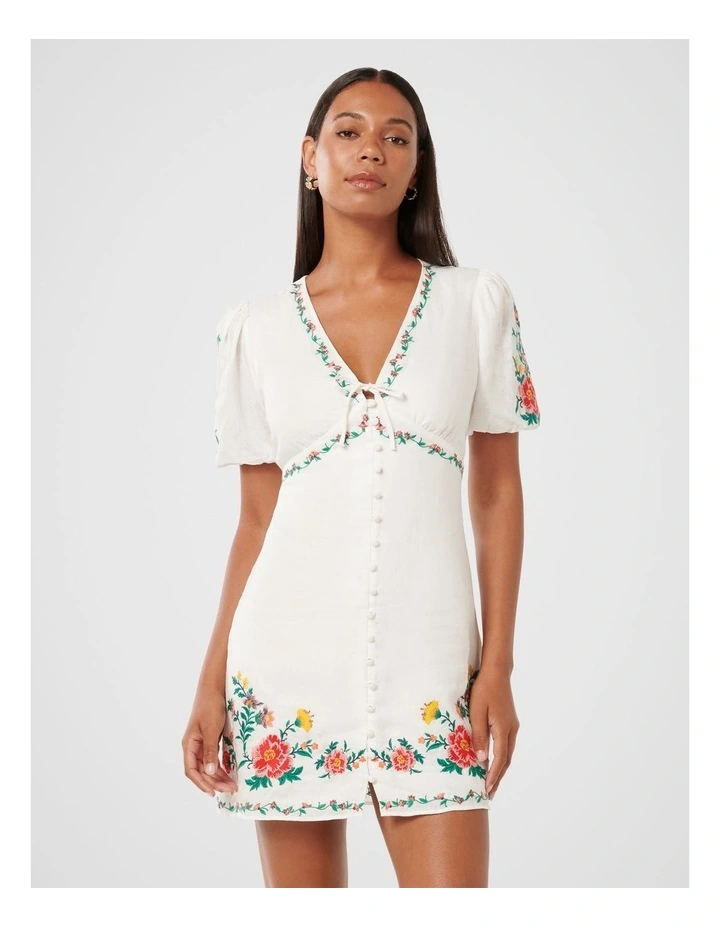 Veanne Embroidered Mini Dress in Multi image 1