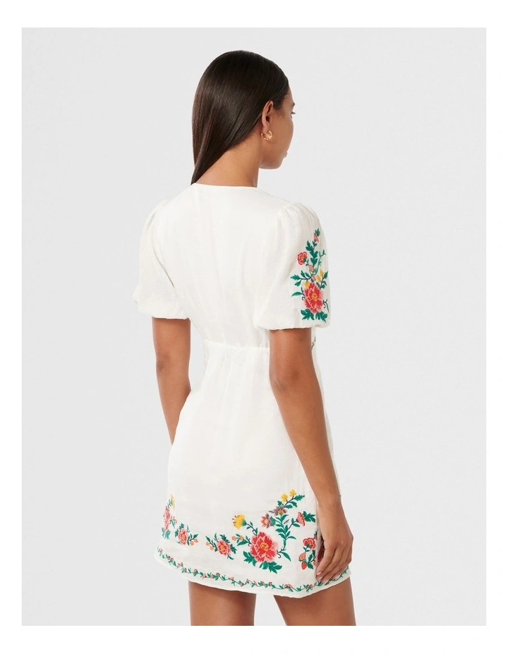 Veanne Embroidered Mini Dress in Multi image 2
