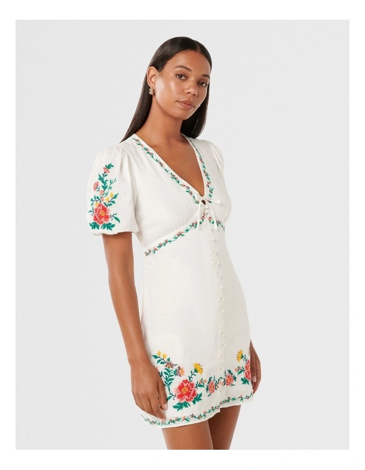 Veanne Embroidered Mini Dress in Multi image 3