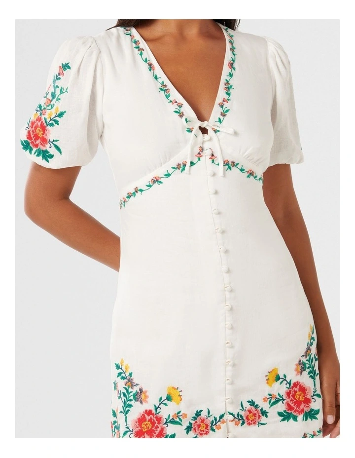 Veanne Embroidered Mini Dress in Multi image 4