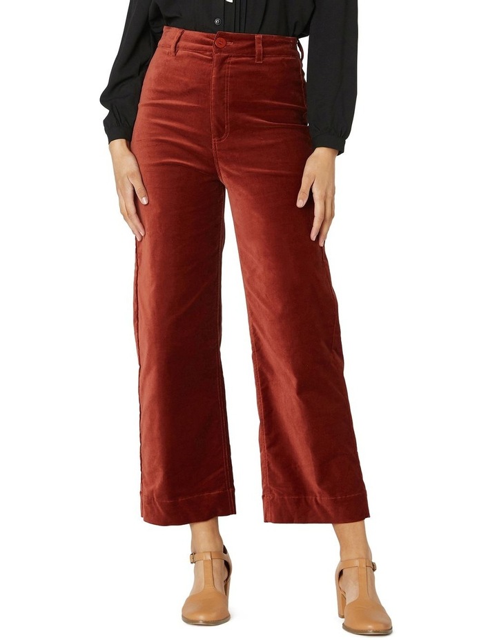 Velvet jeans australia Clearance