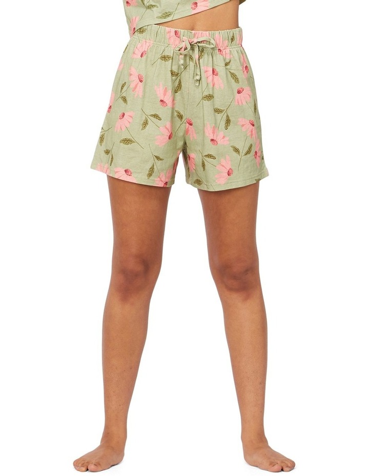 Knee Length Shorts Ladies | Shop 16 