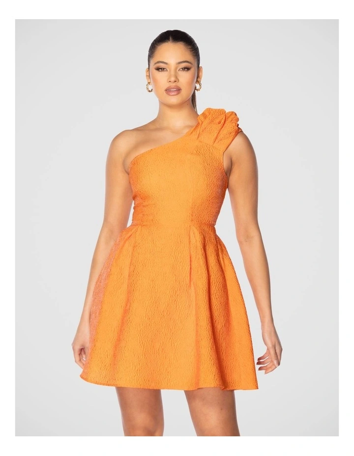 Lucie Mini Dress in Orange image 1