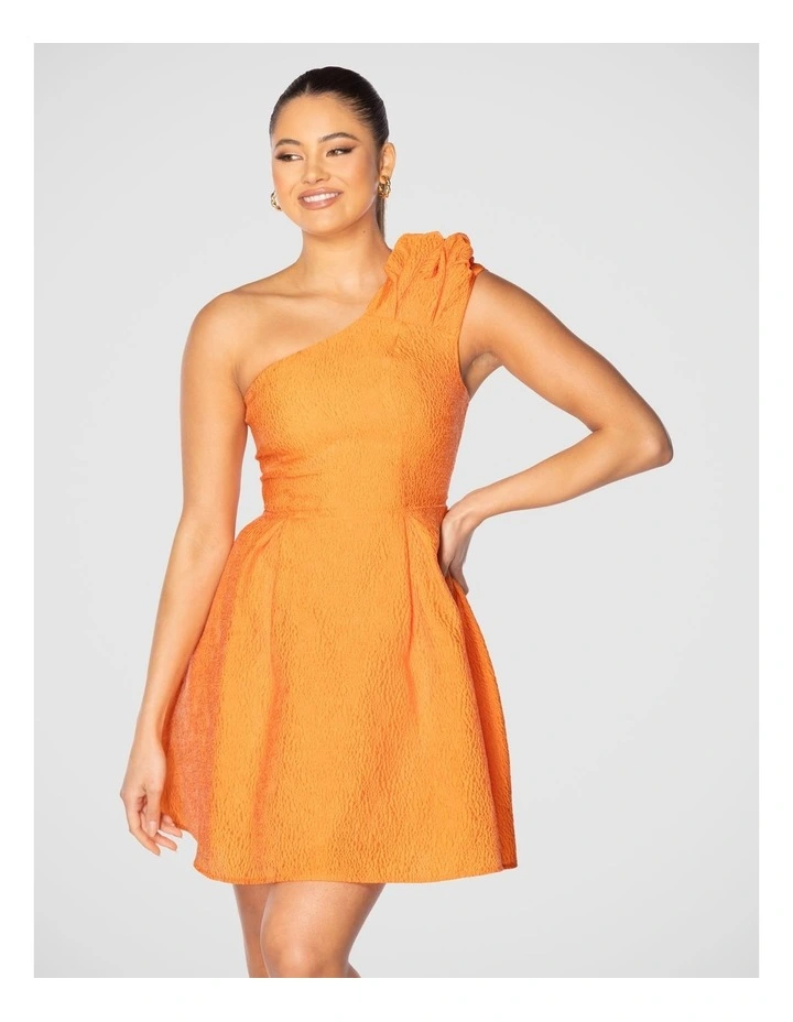 Lucie Mini Dress in Orange image 4