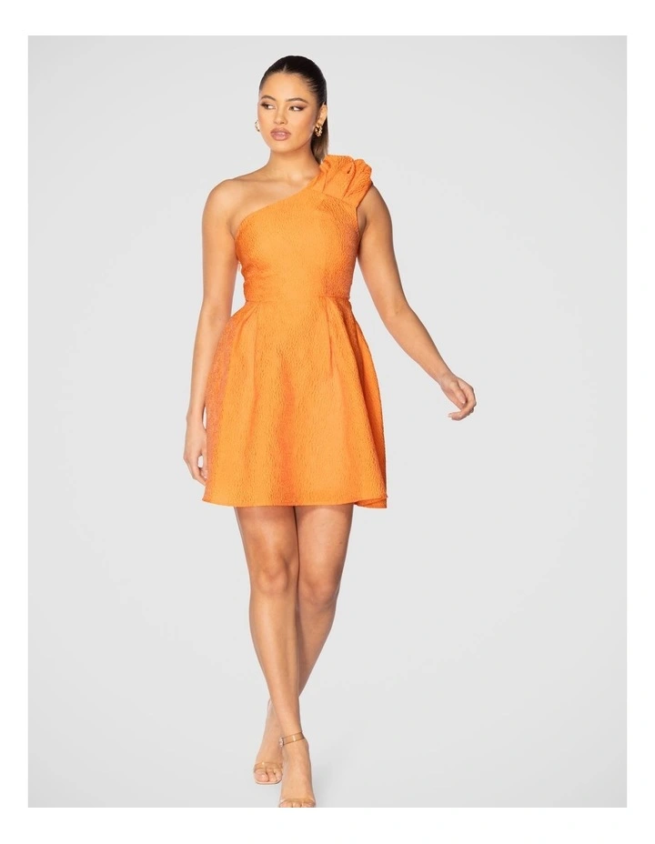 Lucie Mini Dress in Orange image 5