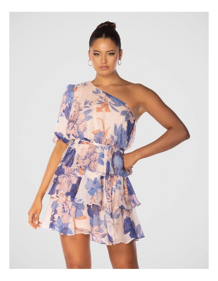 Briley Mini Dress in Multi image 1