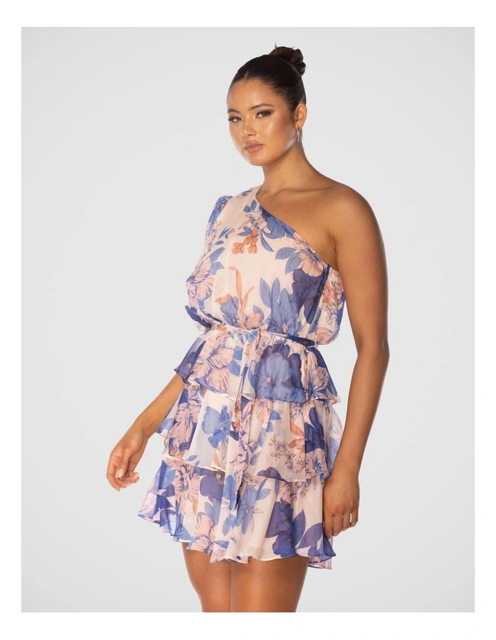 Briley Mini Dress in Multi image 3