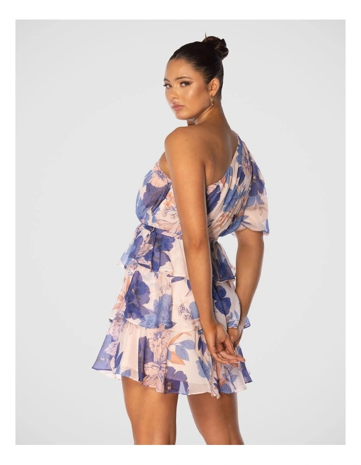 Briley Mini Dress in Multi image 4