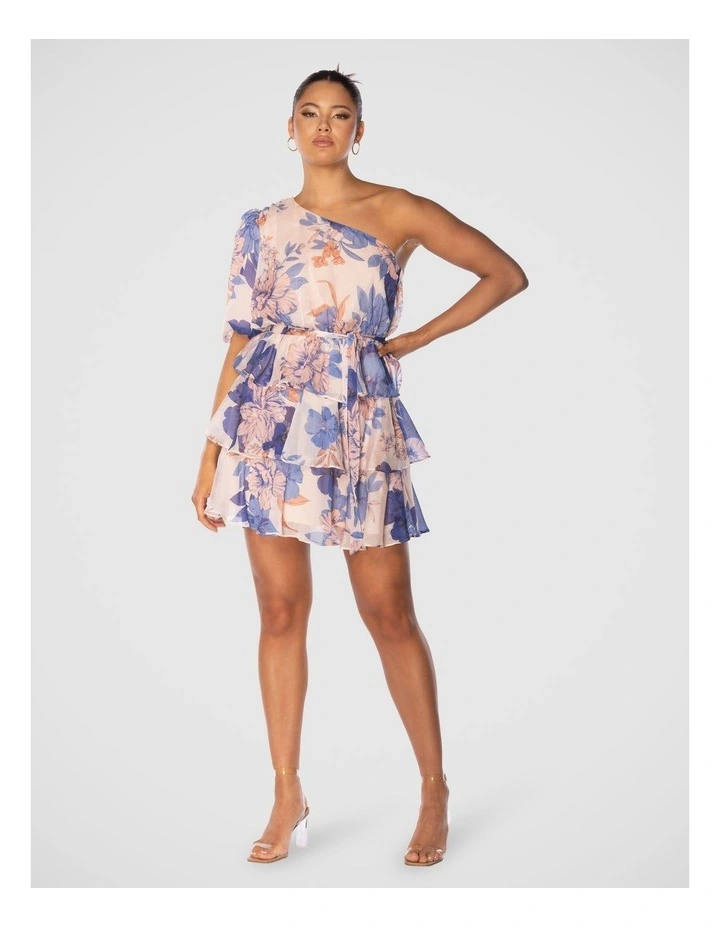 Briley Mini Dress in Multi image 6