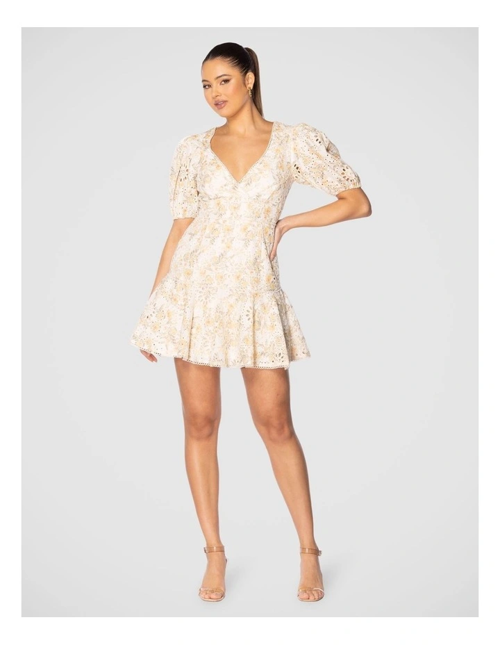 Dayton Mini Dress in Multi image 6