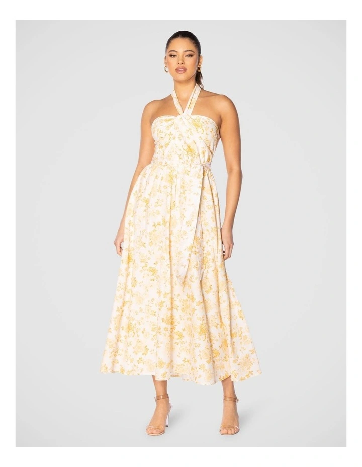 Quin Maxi Dress in Multi image 1