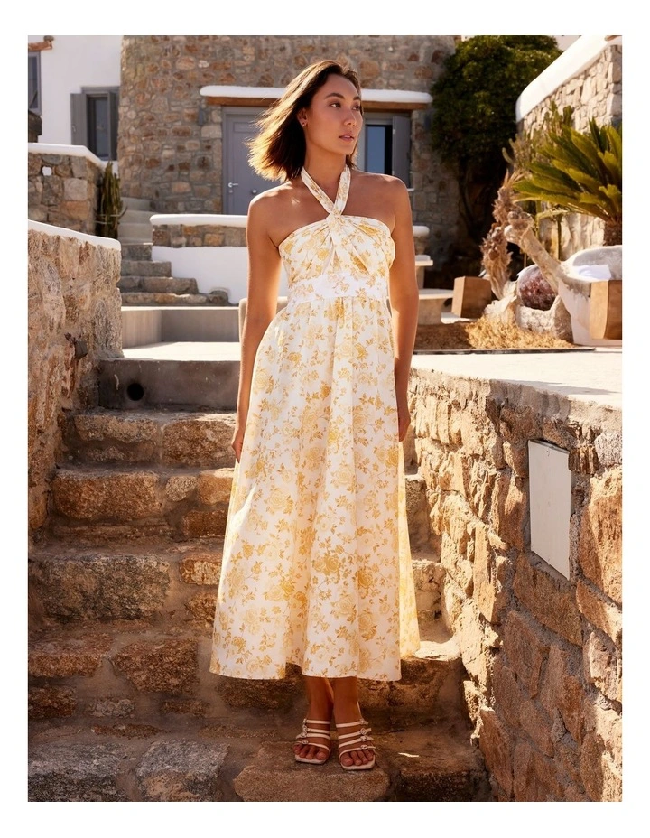 Quin Maxi Dress in Multi image 2