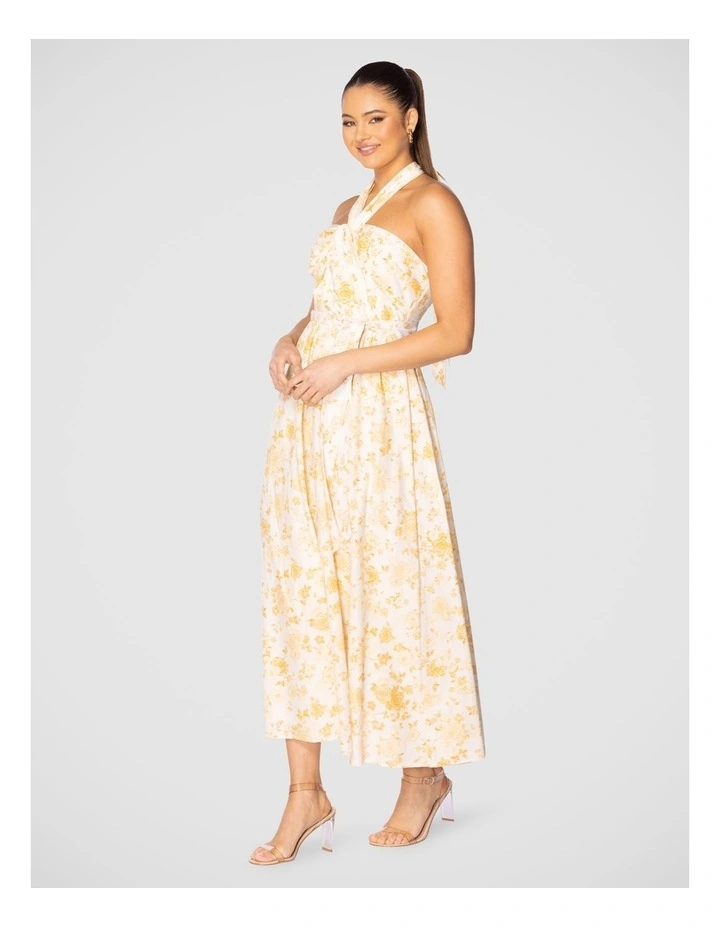 Quin Maxi Dress in Multi image 3