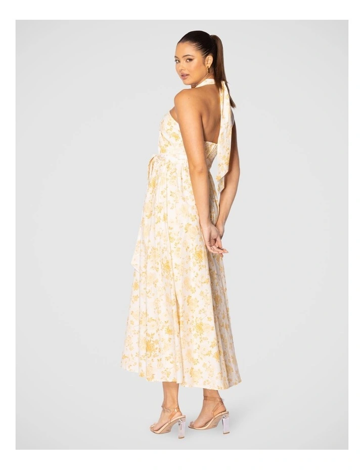 Quin Maxi Dress in Multi image 4